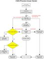 Flowcharts CWS Process Issue Owner.jpg